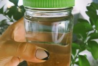 Sole: Learn About the Fish, Flavor, and Cooking Tips