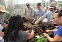 Become an Urban Farmer: Practical Guide to Starting in the City