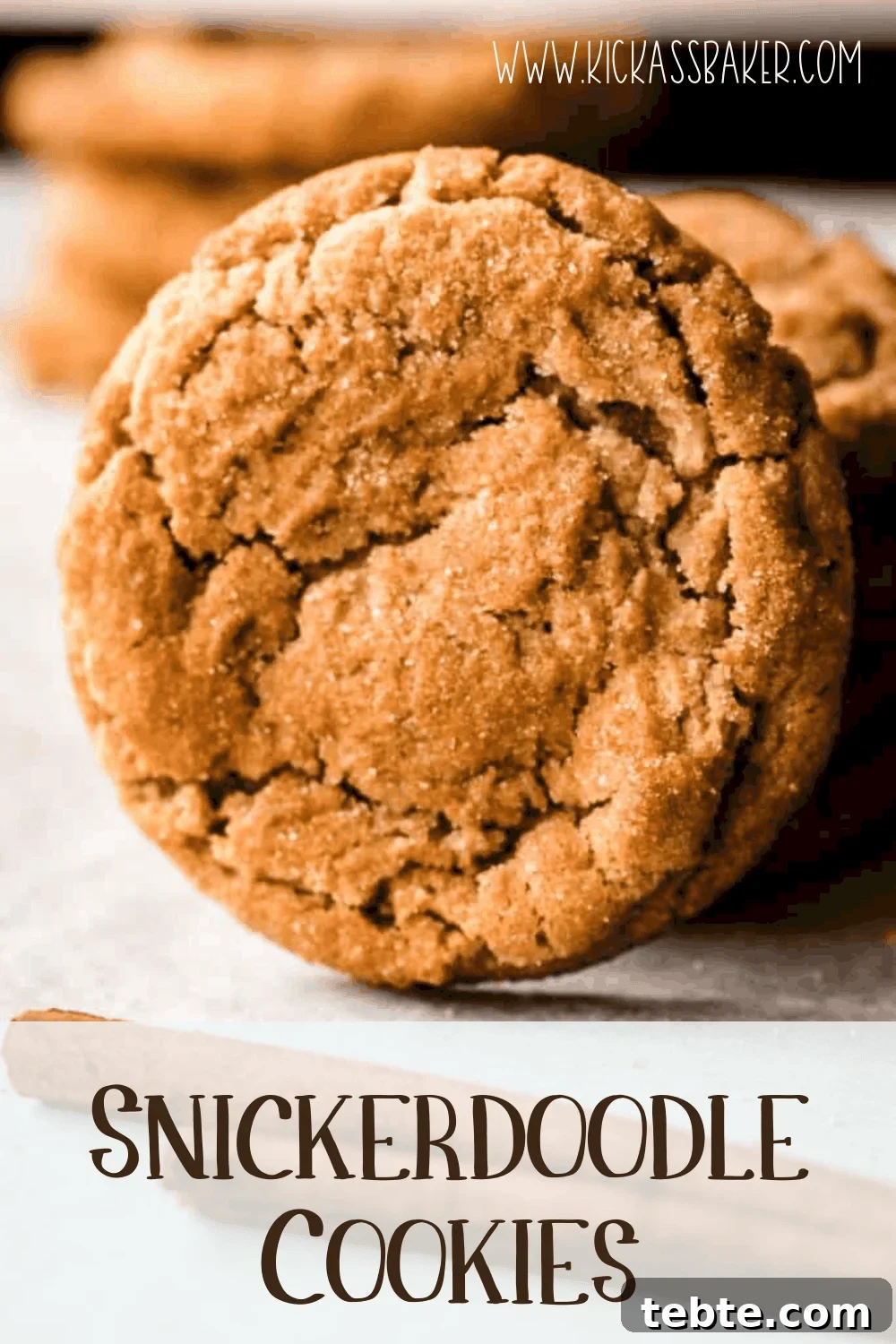 Soft Chewy Snickerdoodle Cookies Recipe 14 These snickerdoodle cookies are the perfect mix of soft and chewy.