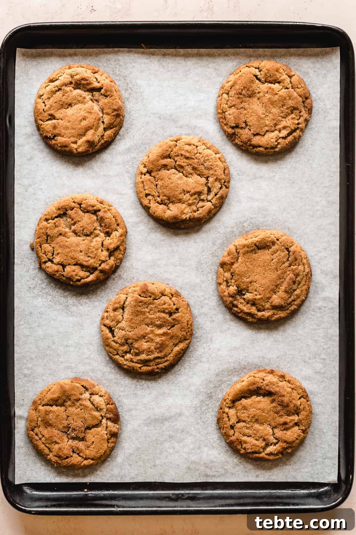 Soft Chewy Snickerdoodle Cookies Recipe 5 These soft snickerdoodle cookies bake up in no time.