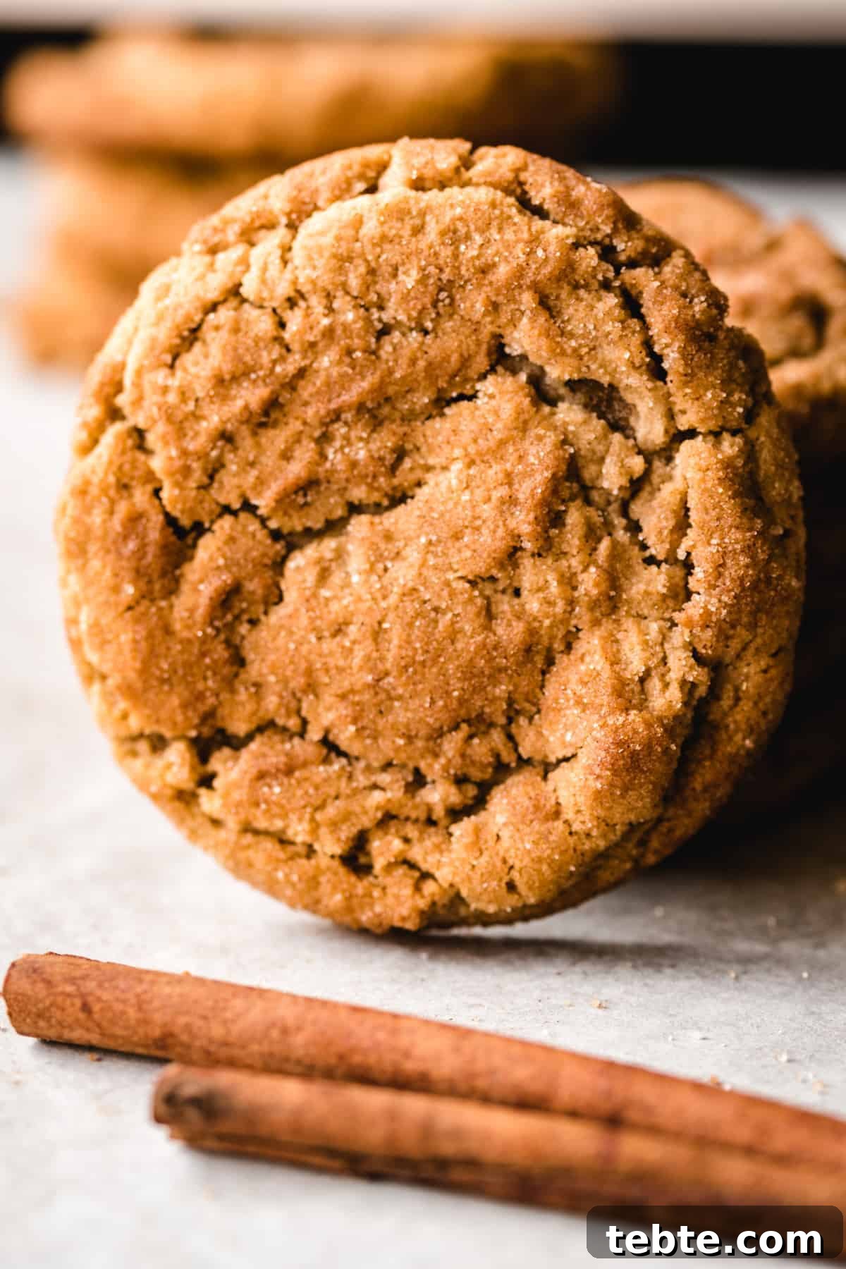 Soft Chewy Snickerdoodle Cookies Recipe 7 Make a batch of these easy snickerdoodle cookies with the kids.