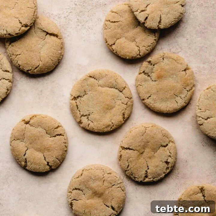 fresh baked eggless gingersnap cookies with crispy edges.