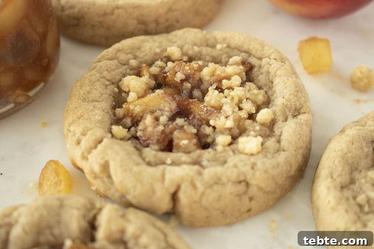 Apple Pie Cookie Recipe: Crispy, Cinnamon-Sugar Bites 9 apple pie cookie without a bite.