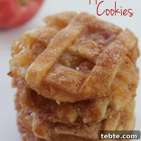 Apple Pie Cookie Recipe: Crispy, Cinnamon-Sugar Bites 11 img 101098 23