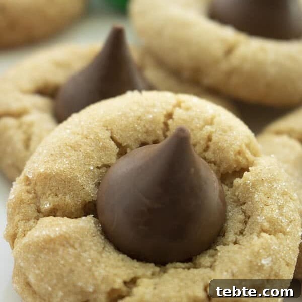Apple Pie Cookie Recipe: Crispy, Cinnamon-Sugar Bites 13 img 101098 25