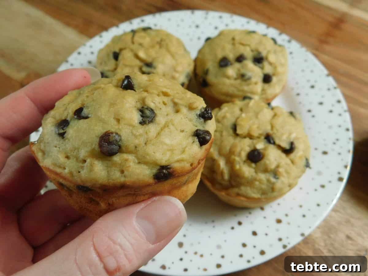 Banana Oatmeal Chocolate Chip Muffins Recipe for Moist, Chewy Treats 2 Banana oatmeal chocolate chip muffins