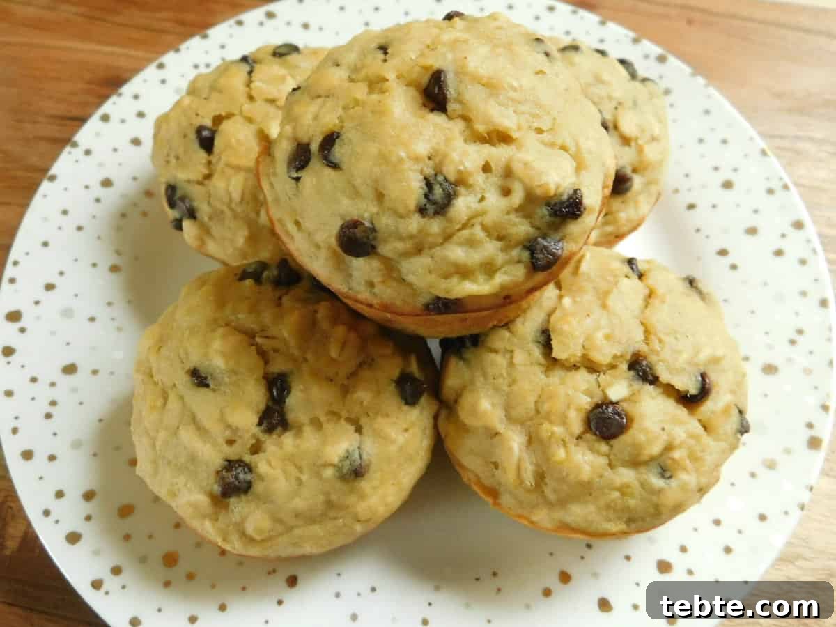 Banana Oatmeal Chocolate Chip Muffins Recipe for Moist, Chewy Treats 3 Banana oatmeal chocolate chip muffins close-up