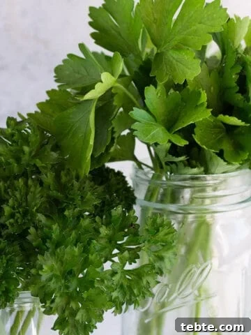 Two mason jars, one fillet with flat leaf parsley and the other filled with curly leaf parsley.