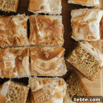 Salted Caramel Biscoff Cake Recipe: Moist Layer Cake with Crunch 8 caramel biscoff cake