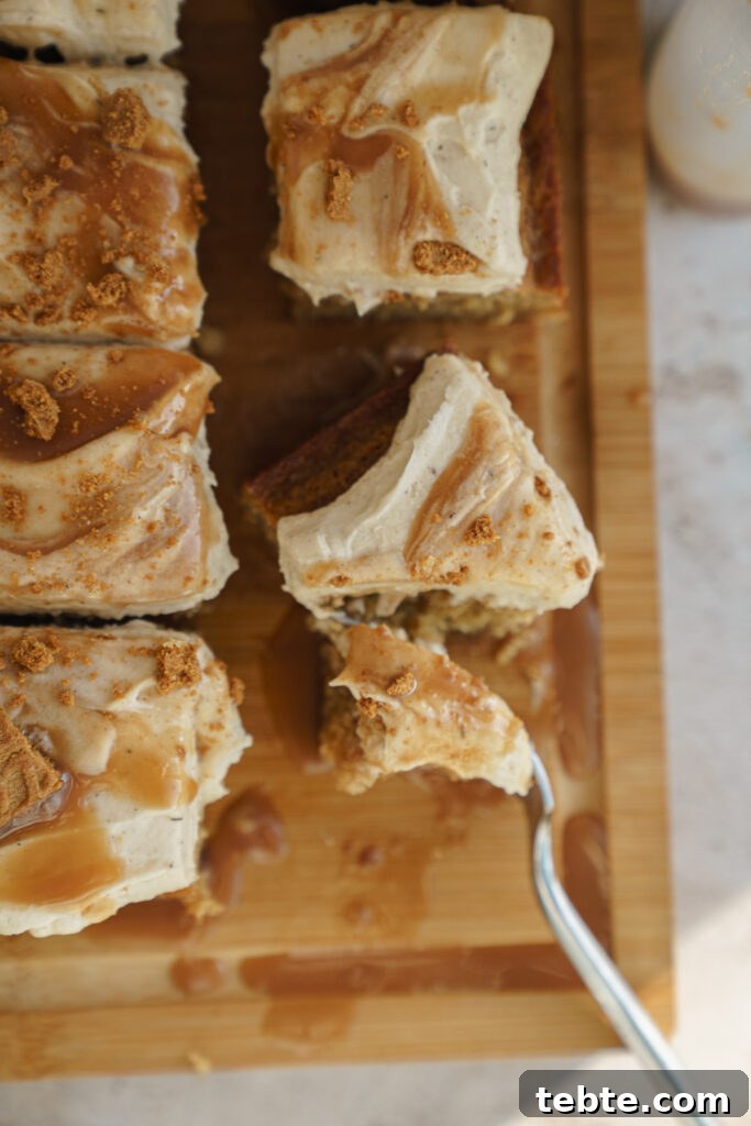Salted Caramel Biscoff Cake Recipe: Moist Layer Cake with Crunch 3 slice of caramel biscoff cake