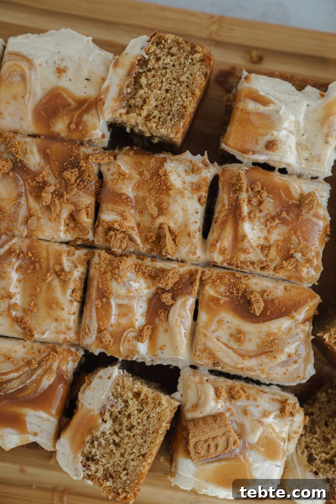 Salted Caramel Biscoff Cake Recipe: Moist Layer Cake with Crunch 4 biscoff cake detail