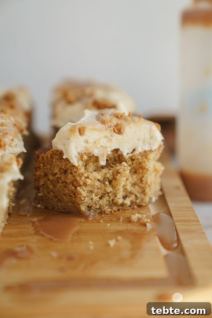 Salted Caramel Biscoff Cake Recipe: Moist Layer Cake with Crunch 5 cake slice closeup