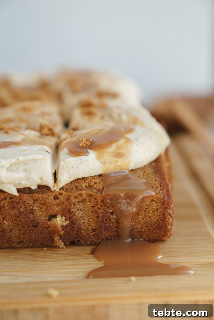 Salted Caramel Biscoff Cake Recipe: Moist Layer Cake with Crunch 6 biscoff cake serving
