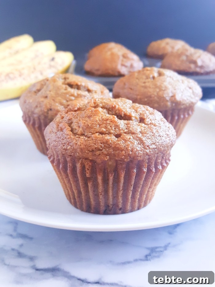 Banana Applesauce Muffins with Whole Grain Oats 3 Healthy Banana Applesauce Muffins - Lightly sweetened and made with whole wheat flour. These muffins are oil, butter, and dairy-free! A great alternative to traditional banana muffins.