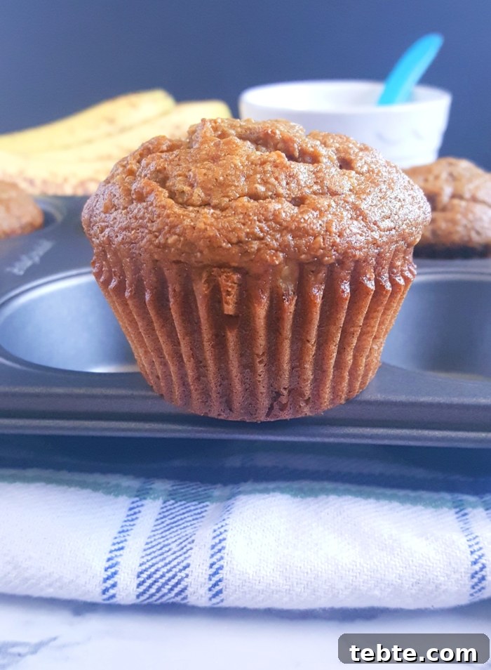 Banana Applesauce Muffins with Whole Grain Oats 4 Healthy Banana Applesauce Muffins - Lightly sweetened and made with whole wheat flour. These muffins are oil, butter, and dairy-free! A great alternative to traditional banana muffins.