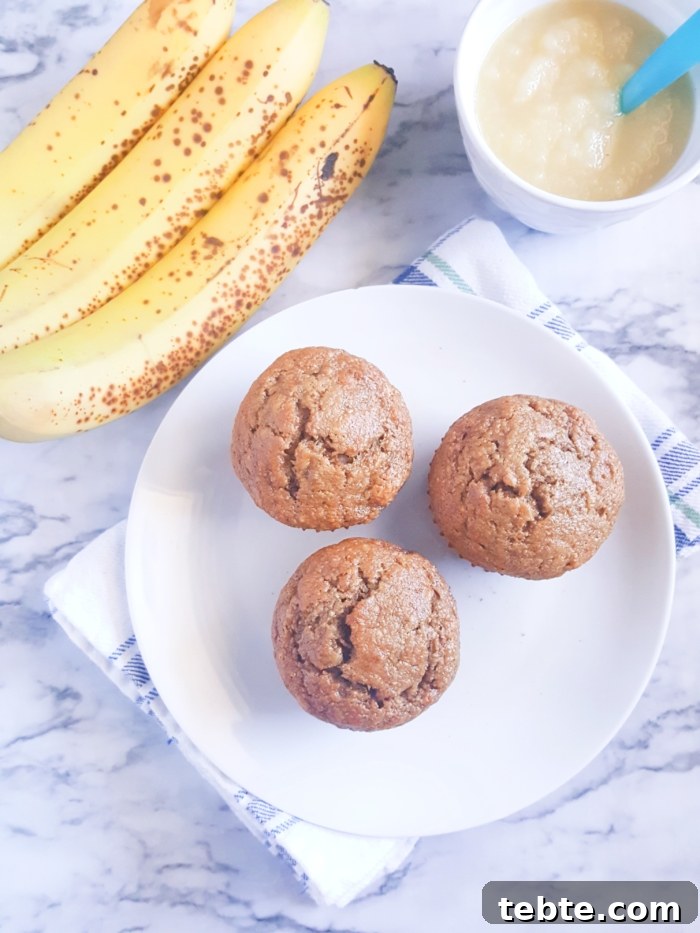 Banana Applesauce Muffins with Whole Grain Oats 5 Healthy Banana Applesauce Muffins - Lightly sweetened and made with whole wheat flour. These muffins are oil, butter, and dairy-free! A great alternative to traditional banana muffins.