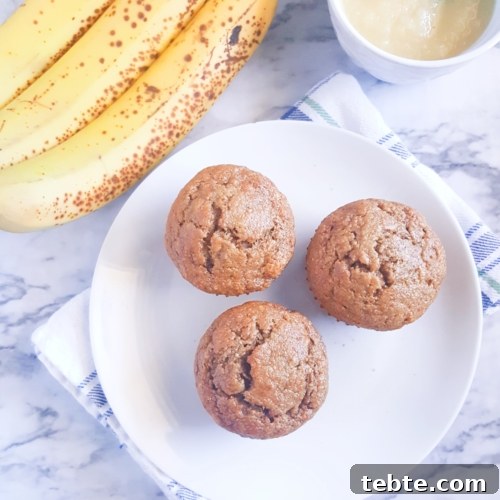 Healthy Banana Applesauce Muffins - Lightly sweetened and made with whole wheat flour.