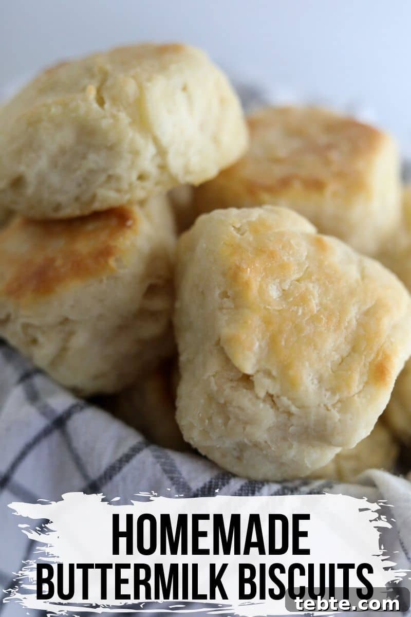 Flaky Homemade Biscuits Recipe — From Scratch and Delicious 2 biscuits piled on top of each other in a basket