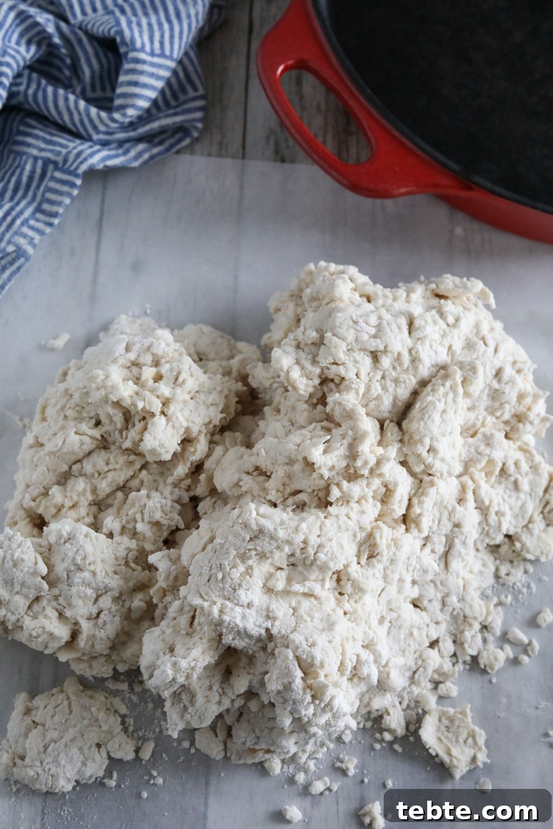 Flaky Homemade Biscuits Recipe — From Scratch and Delicious 6 combined biscuit dough