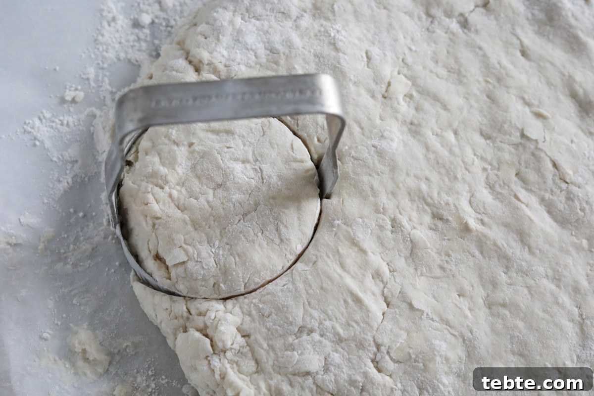 Flaky Homemade Biscuits Recipe — From Scratch and Delicious 8 the biscuit dough rolled out and being cut