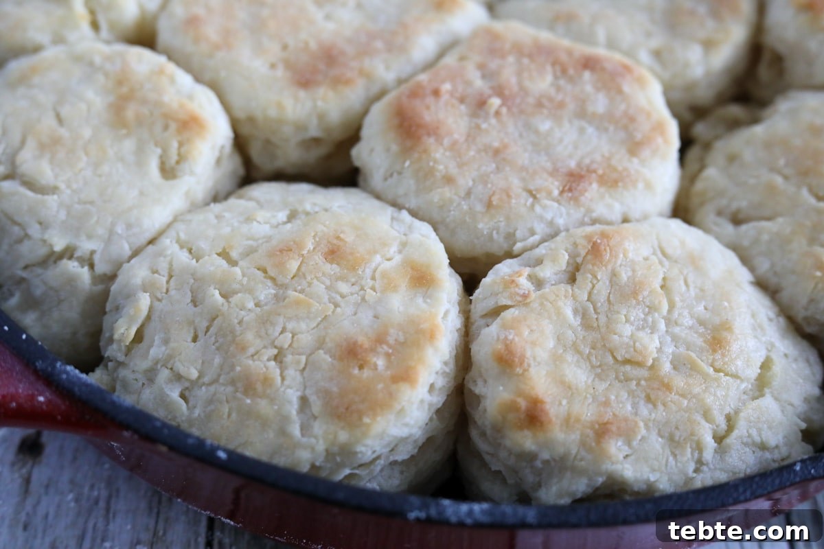 Flaky Homemade Biscuits Recipe — From Scratch and Delicious 9 finished biscuits in a cast iron skillet