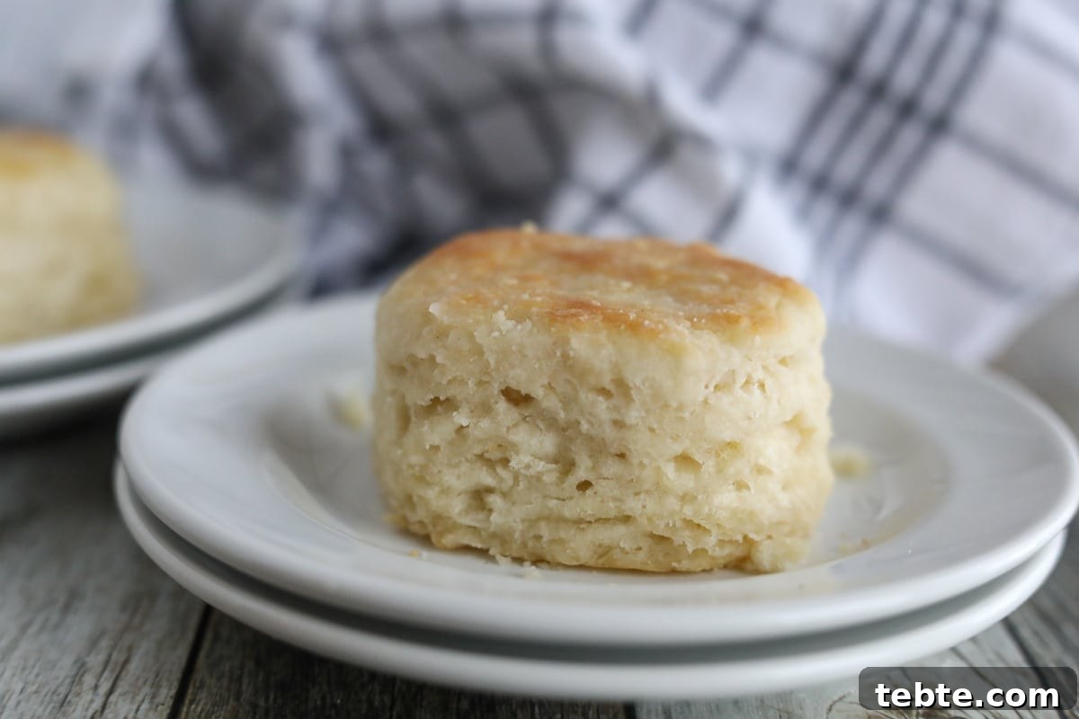 Flaky Homemade Biscuits Recipe — From Scratch and Delicious 10 buttermilk biscuit on a white plate