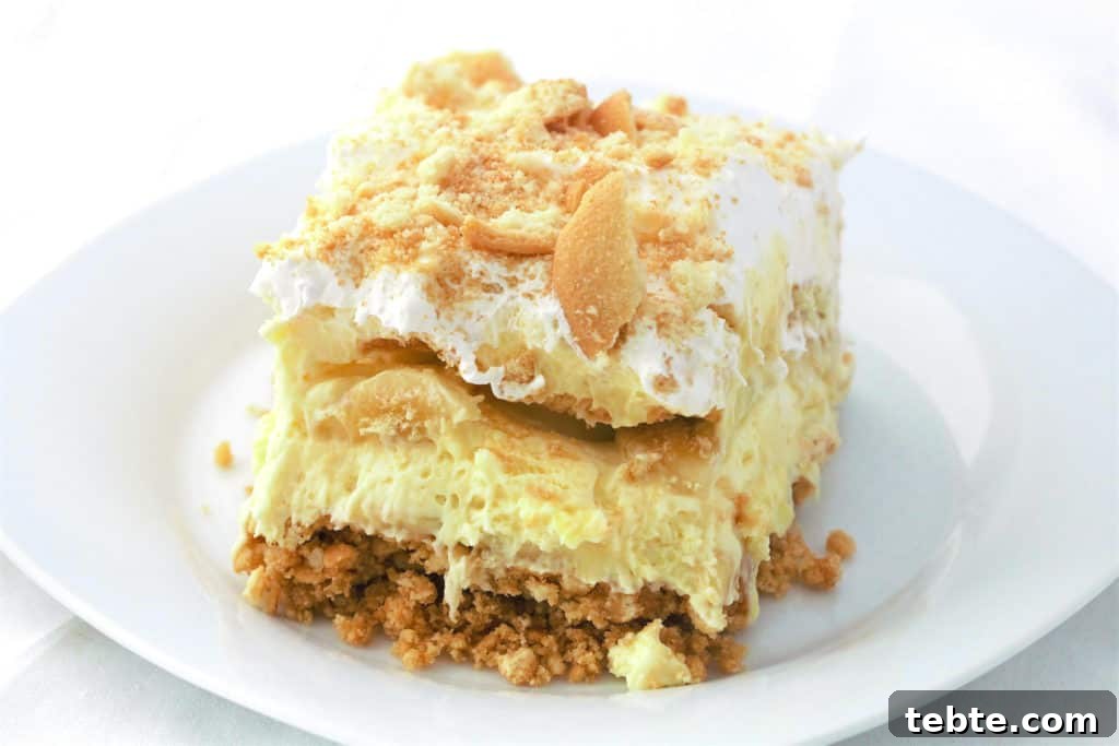 Creamy Southern Banana Pudding Pie Recipe 2 banana pudding pie