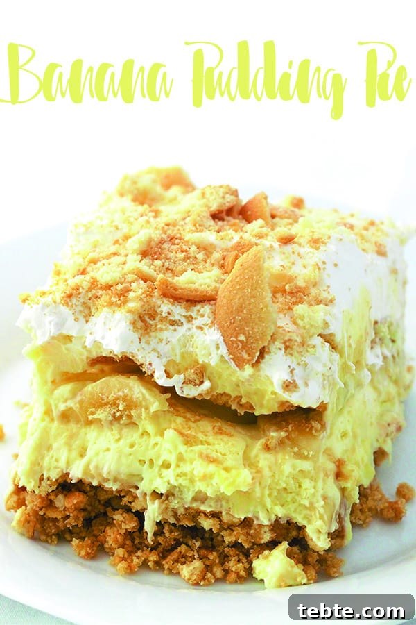 Creamy Southern Banana Pudding Pie Recipe 11 banana pudding pie