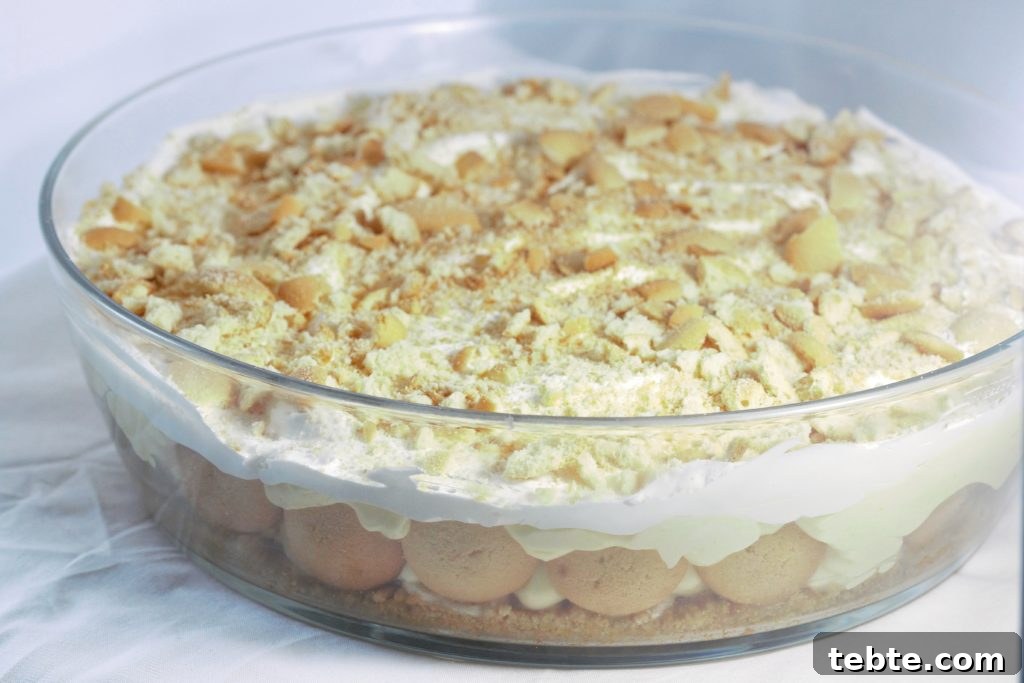 Creamy Southern Banana Pudding Pie Recipe 3 Banana Pudding Pie
