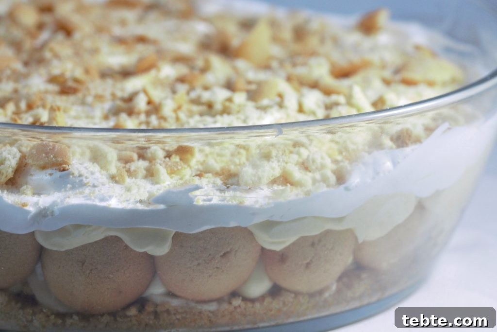 Creamy Southern Banana Pudding Pie Recipe 5 Banana Pudding Pie