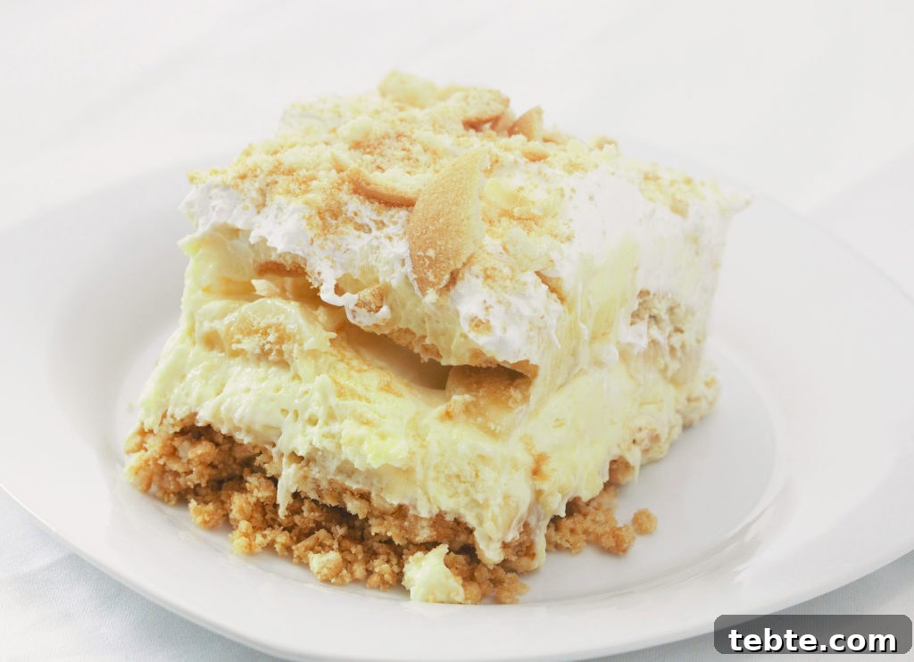 Creamy Southern Banana Pudding Pie Recipe 6 banana pudding pie