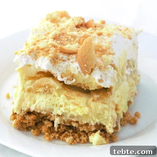 Creamy Southern Banana Pudding Pie Recipe 7 a slice of banana pudding pie with vanilla wafer on top on a white plate