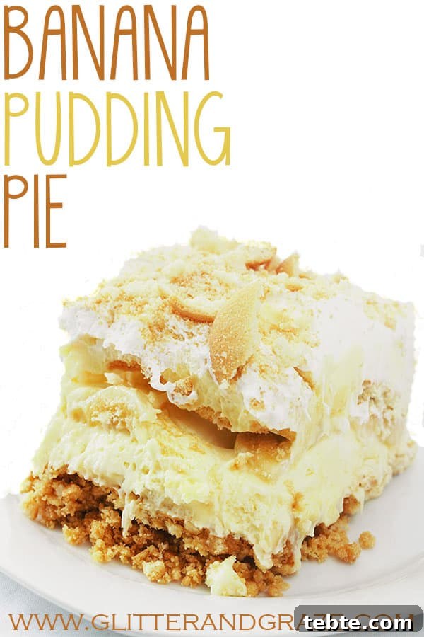 Creamy Southern Banana Pudding Pie Recipe 8 banana pudding pie