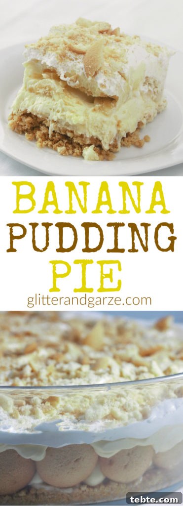 Creamy Southern Banana Pudding Pie Recipe 10 banana pudding pie