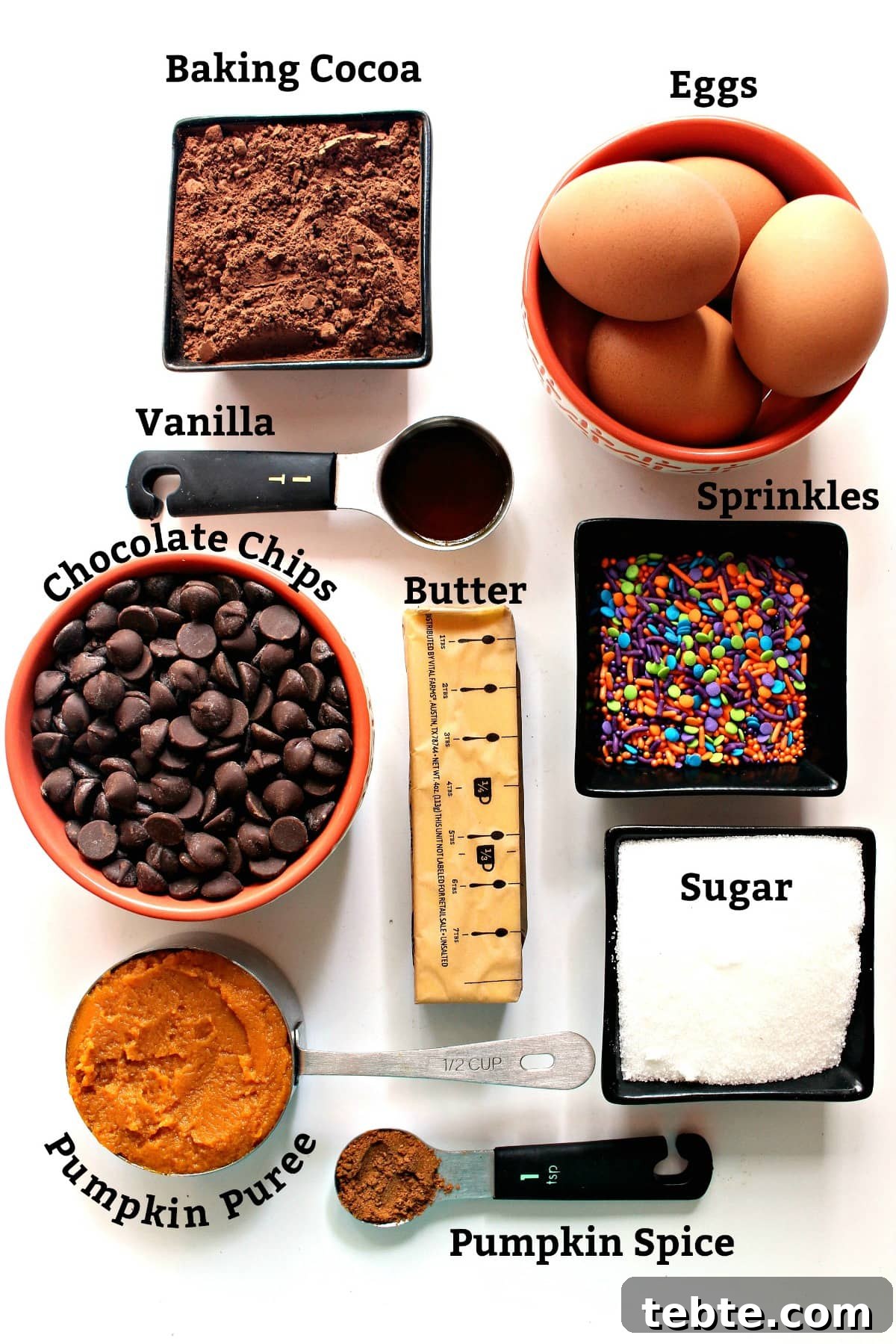 Pumpkin Fudge Brownies with Warm Spices and Gooey Center 3 Labeled ingredients; cocoa, vanilla, eggs, chocolate chips, butter, sugar, pumpkin puree, pumpkin spice, sprinkles.