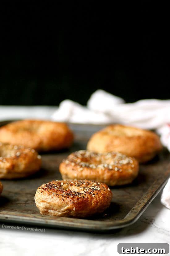 Easy Homemade Bagels