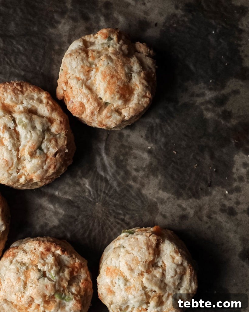 Savory Biscuit Template and Simple High-Reward Recipes 4 cheddar scallion biscuits