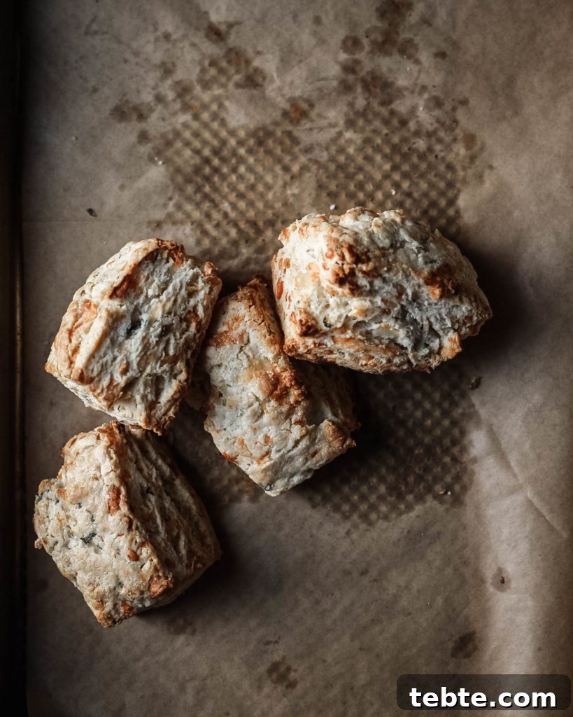 Savory Biscuit Template and Simple High-Reward Recipes 5 img 1191 4