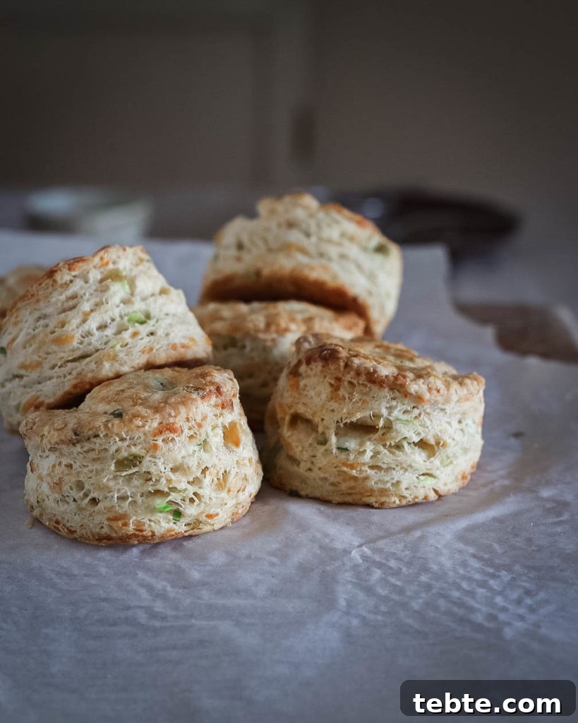 Savory Biscuit Template and Simple High-Reward Recipes 6 img 1191 5
