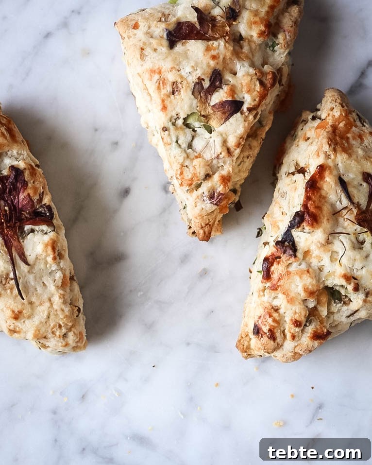 Savory Biscuit Template and Simple High-Reward Recipes 7 img 1191 6