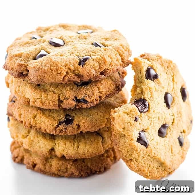 wholesomeyum_sugar-free-low-carb-chocolate-chip-cookies-paleo-gluten-free-3