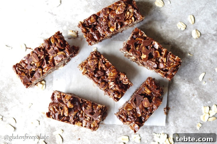 Gluten-Free-Chocolate-Coconut-Oat-Squares2.2