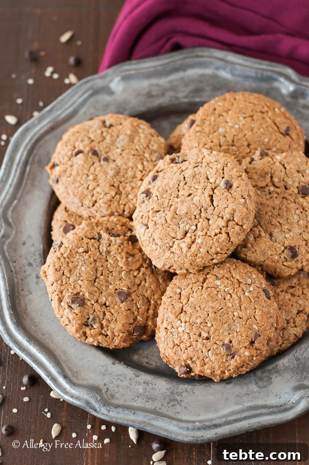 Protein-Packed-Monster-Breakfast-Cookies-Recipe-Allergy-Free-Alaska