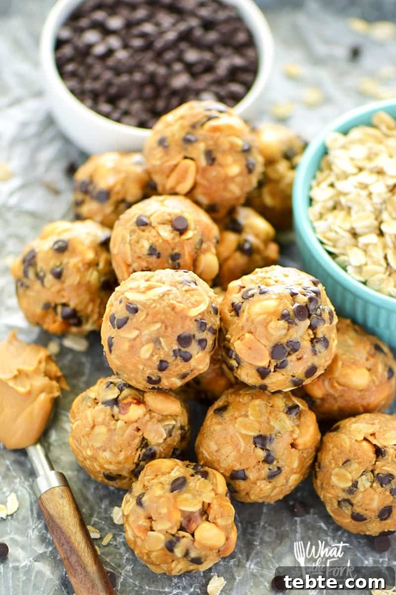 No-Bake-Chocolate-Chip-Breakfast-Balls-3-web