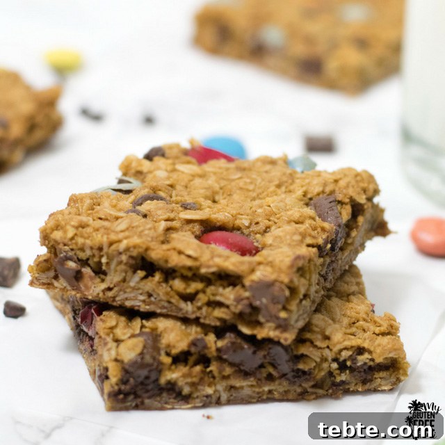 Monster-Cookie-Bars_2