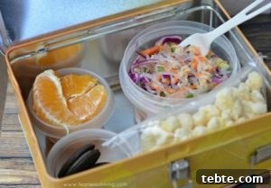 chilled-tuna-noodle-lunchbox-550x383