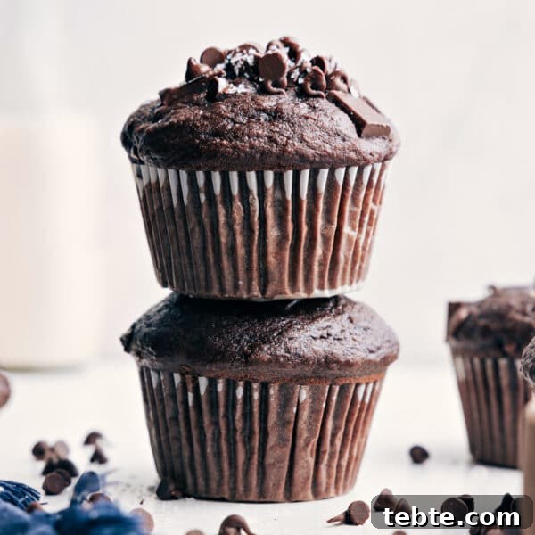 Chocolate banana muffins