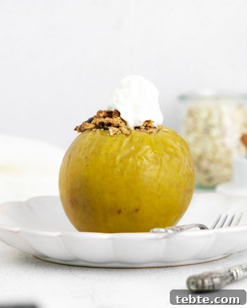 Crispy Air Fryer Baked Apples with Cinnamon and Honey 4 img 124697 3