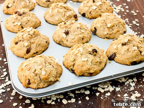 Raisin Oatmeal Muffins Made from Leftover Oats 3 Leftover Oatmeal Muffins-5