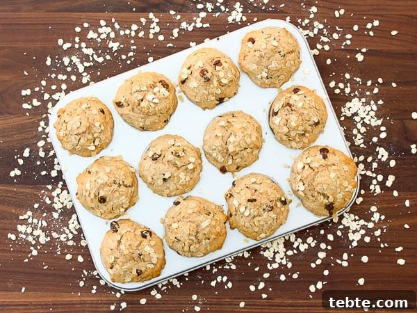Raisin Oatmeal Muffins Made from Leftover Oats 4 Leftover Oatmeal Muffins-3
